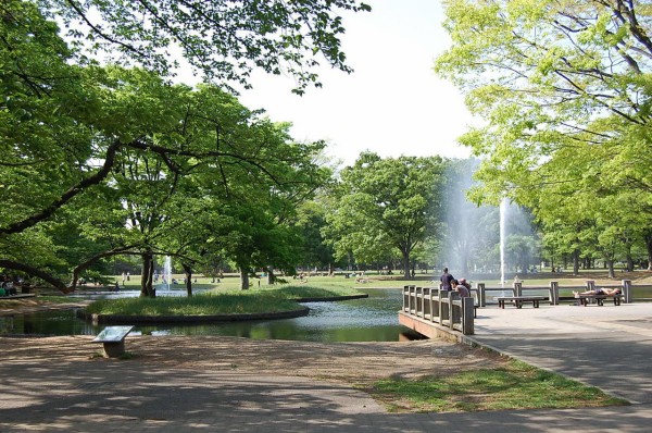 代々木公園 渋谷区 都内公園おすすめ特集