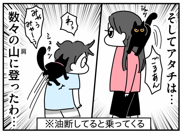 猫の名はポル㉘−2 : つんの日常ブログ Powered by ライブドアブログ