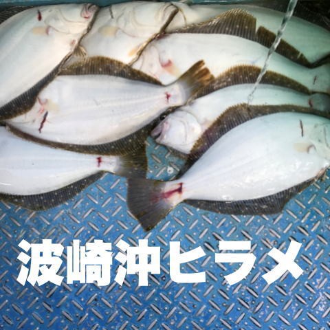 波崎沖ヒラメ 923の釣果blog