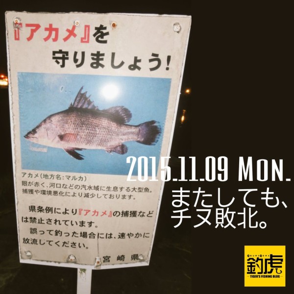 またしても チヌ敗北 釣虎 Tiger S Fishing Blog