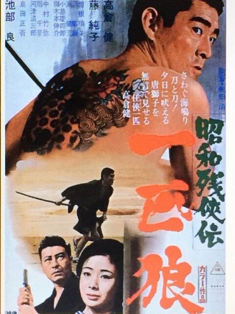 残りわずか マキノ雅弘 高倉健 Box 初回生産限定 Dvd 品 時間指定不可 Theblindtigerslidell Com