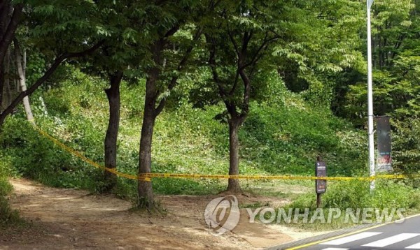 ソウル大公園近くの茂みで発見された切断遺体 死因は未だ不明 楽しい南トンスランド