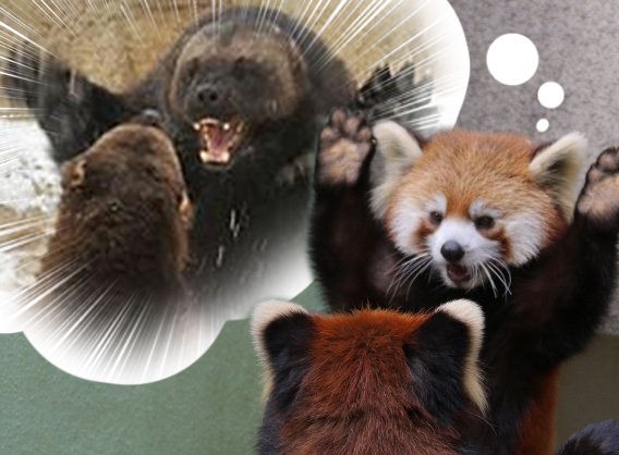 東方 怖いか人間よ 東方まとめたいブログ