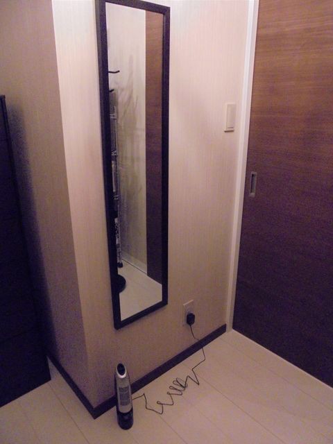 Web内覧会 ウォークインクローゼット やはり出てきた 今さら なこと ウン千万かけて悪ふざけ