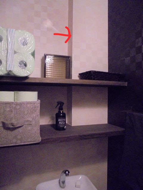 今さら気づく なんかトイレ狭くない トイレは標準より狭くて大丈夫なのか ウン千万かけて悪ふざけ