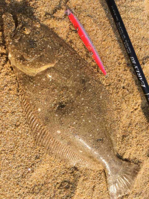ヤマガブランクス アーリー103Mインプレ : まずめな釣り師の釣行記