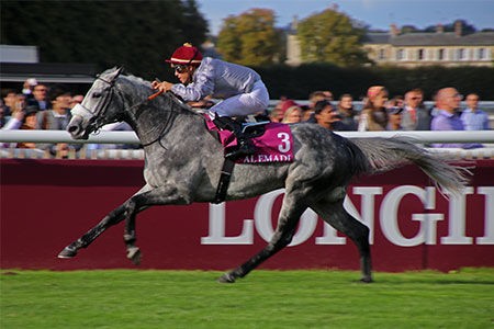 凱旋門賞ウィーク二日目結果 オジェ騎手圧勝 2016アラビアン ワールドカップ 凱旋門賞への道 フランス競馬ブログ親父