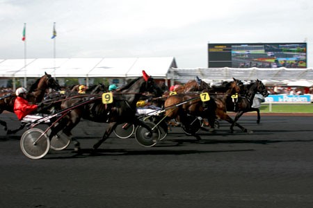 トロットレースのスタート 凱旋門賞への道 フランス競馬ブログ親父
