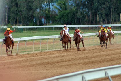 ベトナム競馬探訪記 凱旋門賞への道 フランス競馬ブログ親父