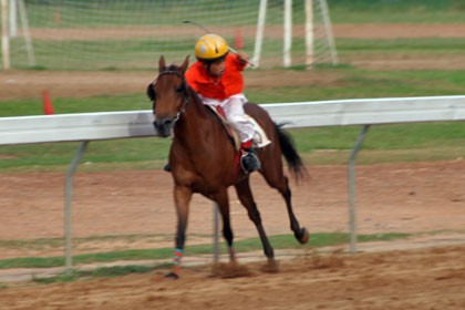 ベトナム競馬探訪記 凱旋門賞への道 フランス競馬ブログ親父