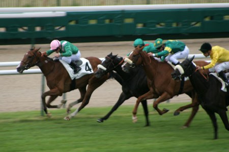 今年も軸馬不在 12ジョッキークラブ賞 フランスダービー 凱旋門賞への道 フランス競馬ブログ親父