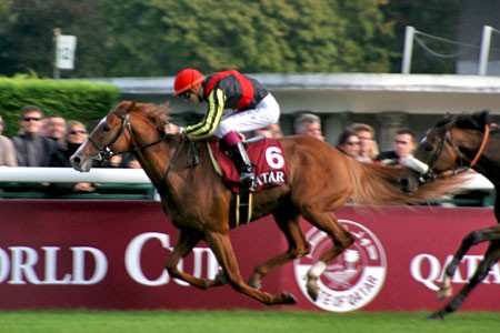 オルフェーヴルの凱旋門賞 凱旋門賞への道 フランス競馬ブログ親父