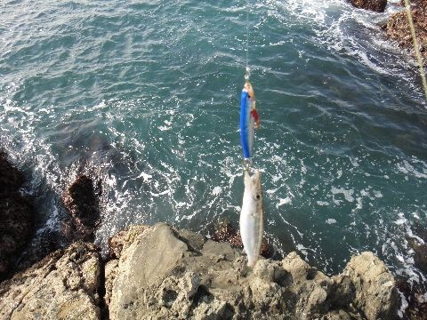 カマコレ2013 いいじゃないのさ このダボハゼ野朗っ 練馬発の釣り日誌