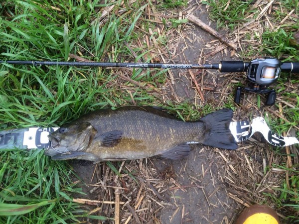 15 4 14 多摩川スモールマウスバス Turisuke123のblog