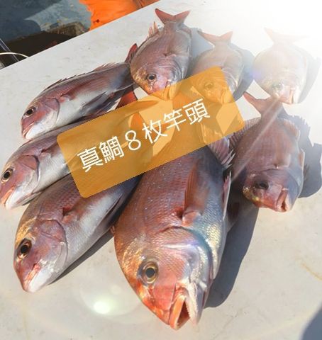 鯛は寄生虫までもが旨い 釣海38 相模湾の釣れてる魚と料理 オススメアイテム 釣りは人を幸せにしますね