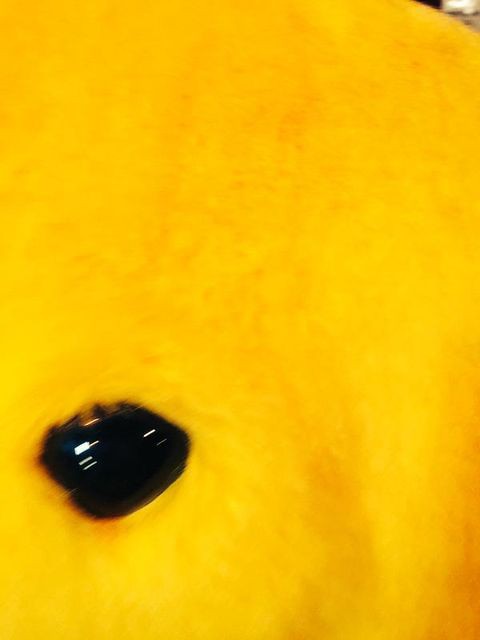 サンリオキャラクター大賞 投票結果でポムポムプリンが35票差で1位に 麻友号泣 じゅりまとめ Ske48松井珠理奈関連まとめサイト