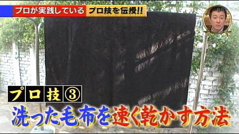 洗った毛布を速く乾かす方法 テレビっ子ひなのブログ