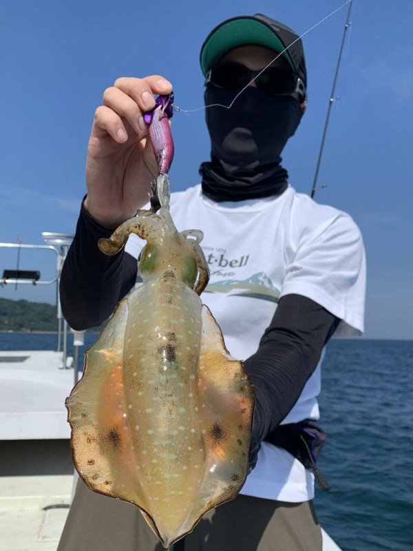 10 8 アオリイカ スタッフ釣果 松山沖にて 釣具のフレンド 釣り力ｕｐ 最新情報