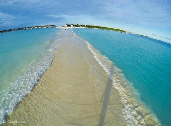 海の中に出来た砂の道 ツイ画
