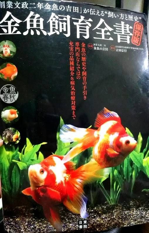 金魚飼育全書 T Y アクアいろブログ