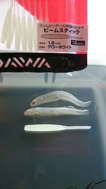 第四章 早春シロウオパターンのシーバスを検証 3 17 3 18 ルアーフィッシングジャーナル