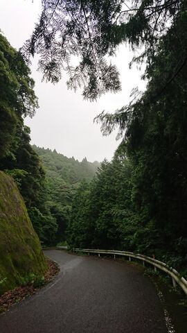 渓流釣りであったら便利なアイテム８選 ルアーフィッシングジャーナル