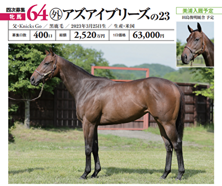 ◆希少◎レア◎非売品 ＩＰＡＴ馬券道場 当選品　２点セット WP9 2022 世界へ羽ばたく名牝 購入権セット 全3頭 | My