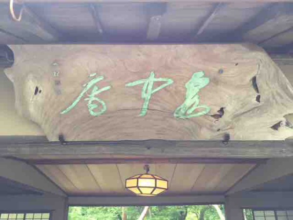 陰影礼賛 雨竹 盆栽 水石 便り