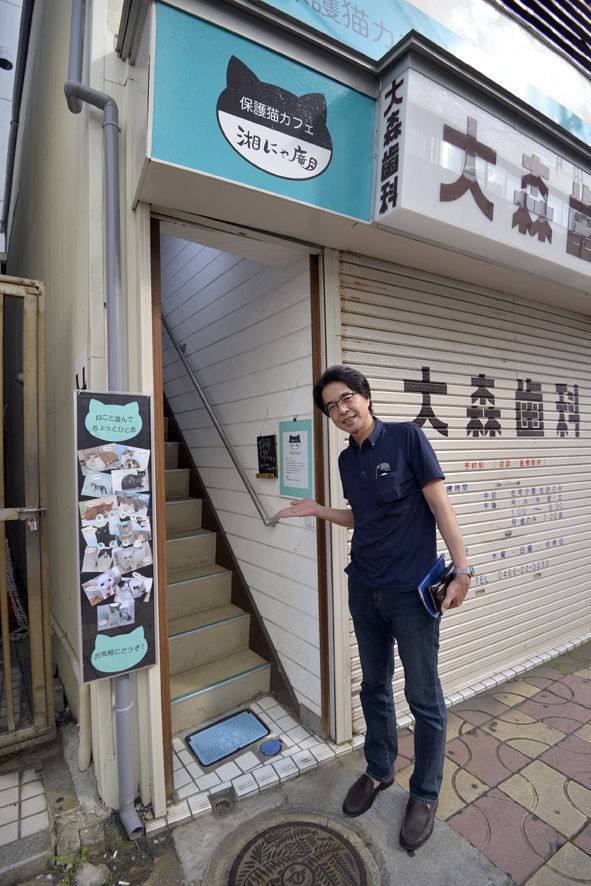 藤沢駅前 保護猫カフェ 湘にゃ庵 うちのとらまる Powered By ライブドアブログ