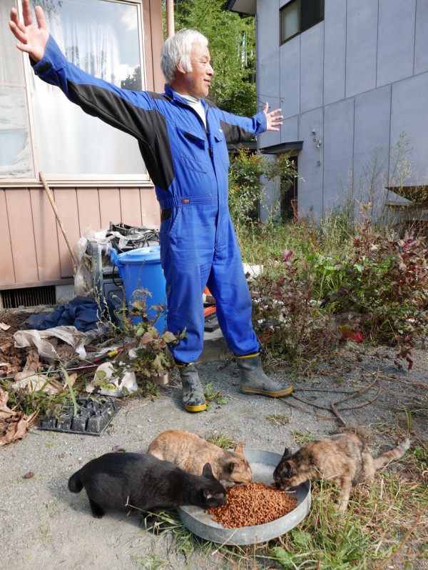 Amazon.co.jp: しろさびとまっちゃん 福島の保護猫と松村さんの