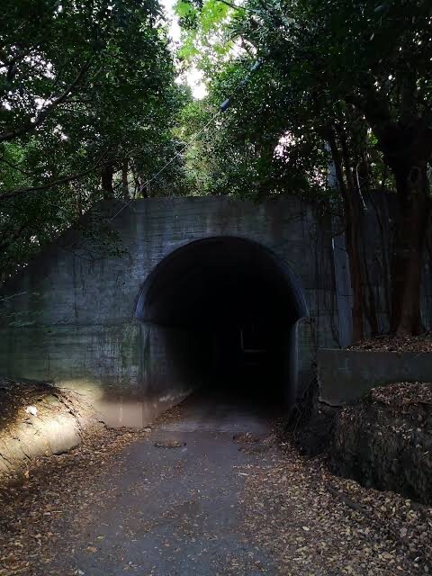 夏の終わりの旅と釣り : 播磨と摂津の境目から