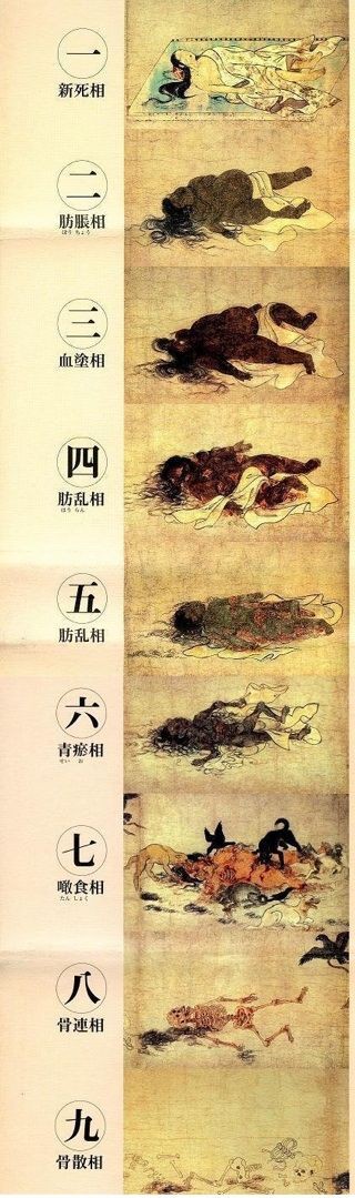京都 六道参り 西福寺 壇林皇后九相図絵 見仏記ファンの寺巡り By アマガスカル