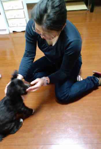 老人と犬 禍福門なし唯人の招く所 老人と犬 禍福門なし唯人の招く所