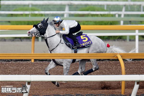 宝塚記念を前にゴールドシップ愛を語り合う人々 競馬ちゃんねる