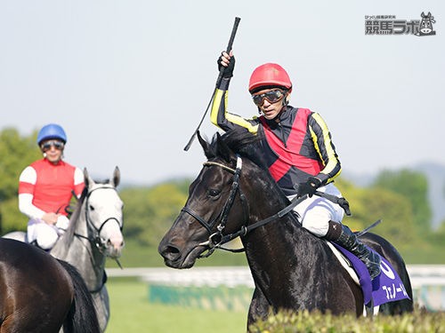 宝塚記念を前にゴールドシップ愛を語り合う人々 競馬ちゃんねる