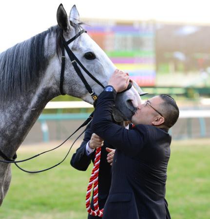 画像多数 ゴールドシップの可愛さを再確認するスレ 競馬ちゃんねる