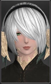 Ff14 塔ドロップの2b髪型 確定ドロップなため暴落中 マケボで売買できるのでロットが弱い人はずっと手に入らない件 馬鳥速報