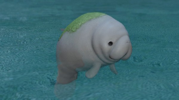 FF14】7月26日よりプライズ「デスクトップぬいぐるみ プチプヌティー