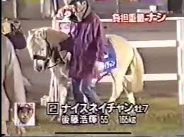 ウマ娘で競馬に興味を持った層はハルウララぐらいしか知らなかったの ナリタブライアンが有名な裏にはとある番組が影響している うまむす速報