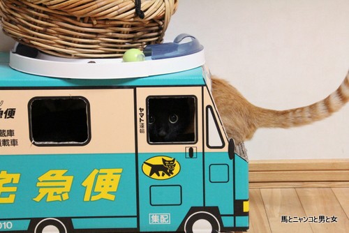 定員オーバー 馬とニャンコと男と女 Powered By ライブドアブログ