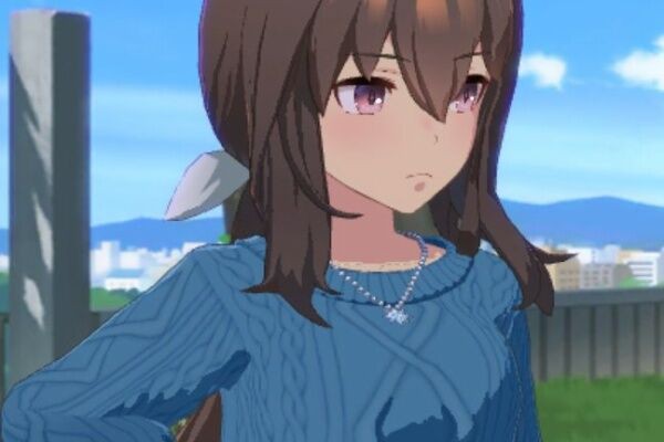 ウマ娘 アヤベさんに1日で良いから私より長生きしてって言われたい うまぴょいnews