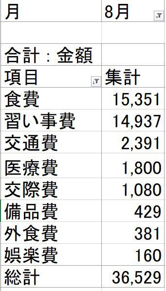 節約 21年8月の家計簿公開 節約と投資と日々のいろいろ