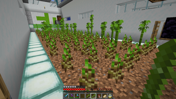 もっともーっと竹もっと うみどりのいまさらマイクラ街づくり