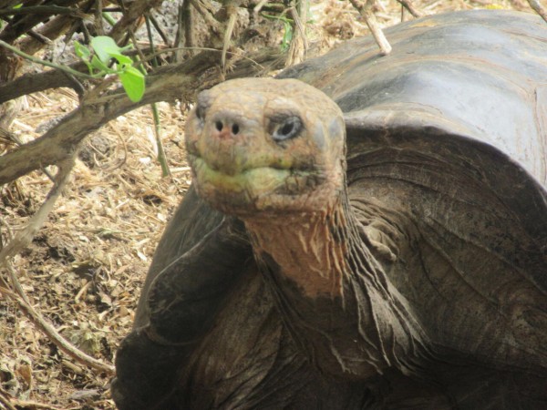 南米エクアドルの山と海 ２ 後編 ガラパゴス諸島 楽園の４日間 世界旅 地球を抱きしめて