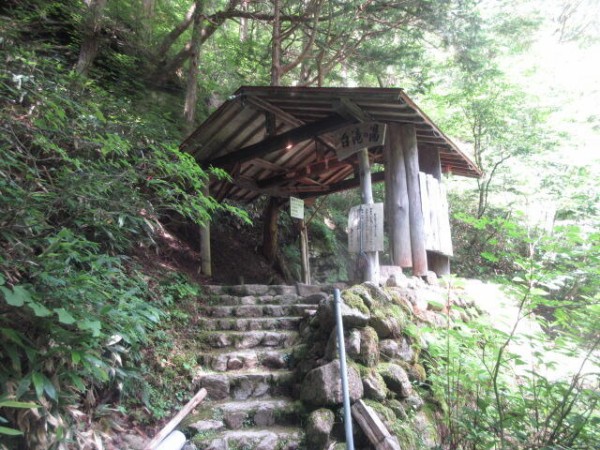 夏の信州・山岳リゾートと名湯の旅：上高地～美ヶ原温泉～駒ケ根高原