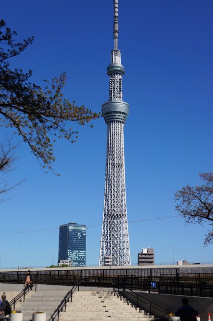 親孝行ツアー東京名所めぐり うねうねごろごろ Powered By ライブドアブログ