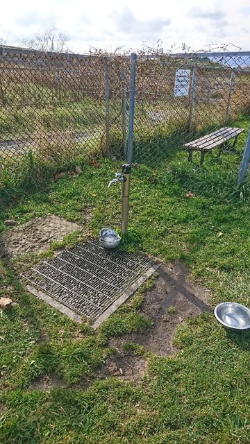 函館 根崎公園 ドッグラン シェルティ ウニの ドッグラン放浪記