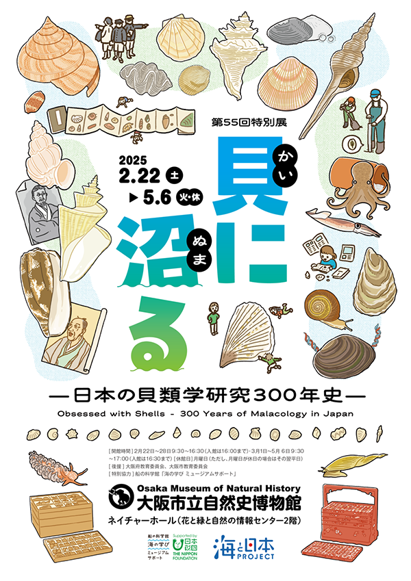 貝に沼る 解説書と風呂敷 特別展 大阪市立自然史博物館 貝に沼る —日本の貝類学研究300年史—」大阪市立自然史博物館 【貝千種