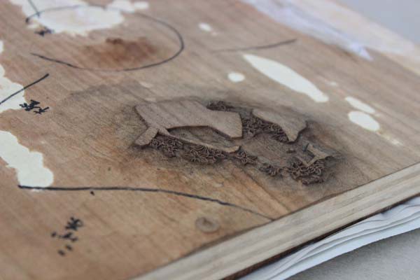 対決かびごん ポケモンの木版画 : 芸艸堂 店主の日記