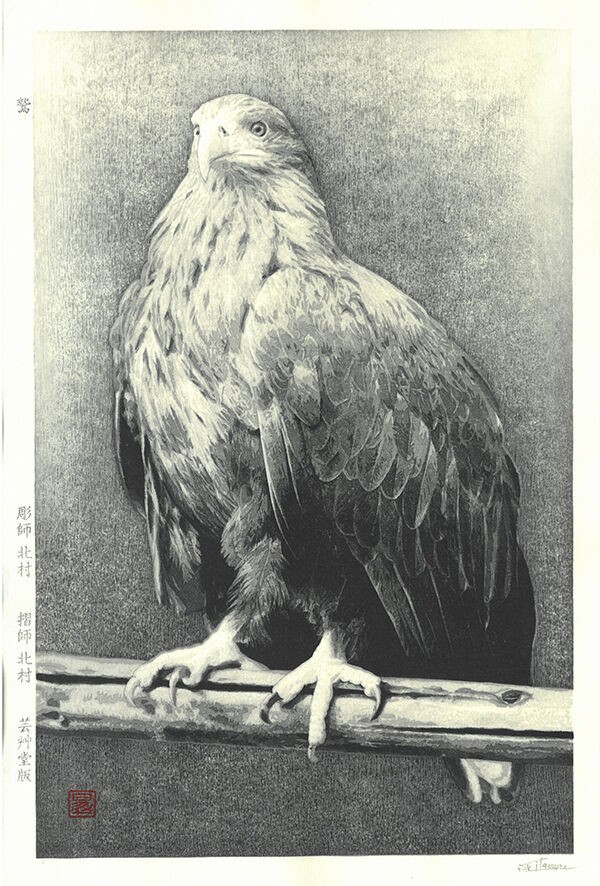 写真のような木版画 Foto-HANGA 鷲 完成 : 芸艸堂 店主の日記